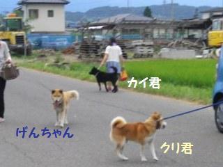 120801-4.jpg