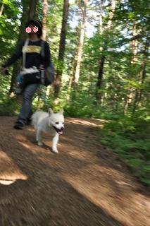 120805-k4.jpeg