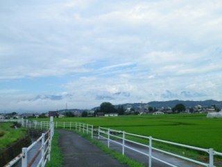 120806-1.jpg