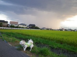 120826-1.jpg