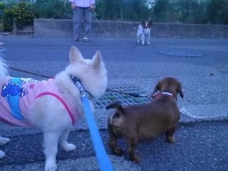120828-4.jpg