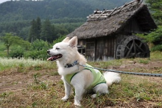 120908-k5.jpeg