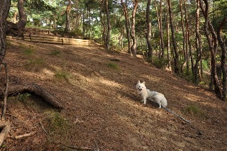 120909-k5.jpeg