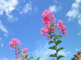 120911-5.jpg
