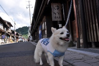 120916-k21.jpeg