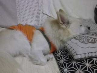 120918-4.jpg