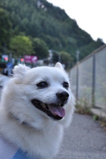 120930-k12.jpeg