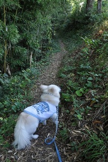 120930-k4.jpeg