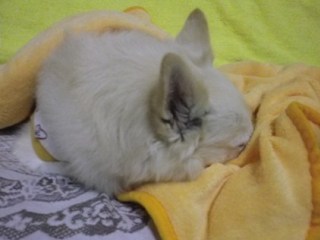 121018-1.jpg