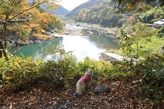 121027-k20.jpeg