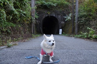 121027-k6.jpeg