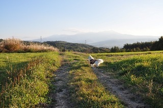 121103-k13.jpeg