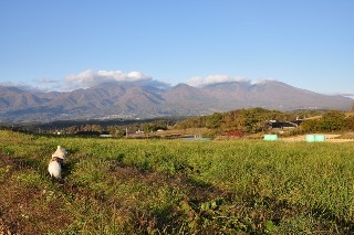 121103-k14.jpeg