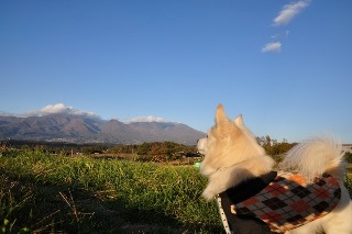 121103-k16.jpeg