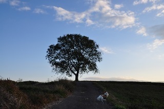 121103-k17.jpeg