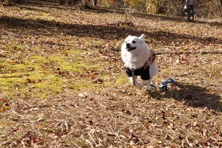 121103-k3.jpeg