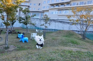 121103-k7.jpeg