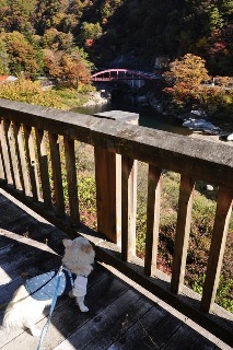 121104-k2.jpeg
