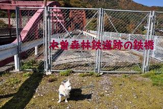 121104-k5.jpeg