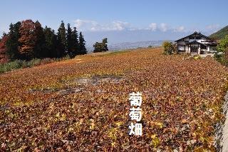 121110-k6.jpeg