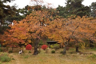 121111-k2.jpeg