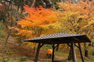 121111-k3.jpeg