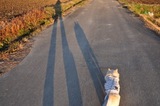 121118-k11.jpeg