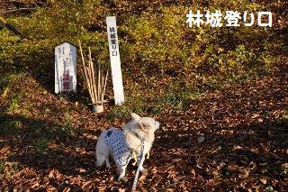 121118-k5.jpeg