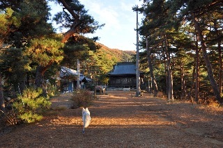 121118-k9.jpeg