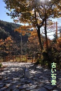 121125-k5.jpeg