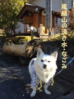 121125-ki2.jpg