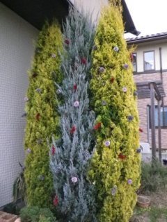 121202-1.jpg