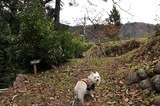 121202-k14.jpeg