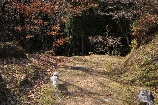 121202-k4.jpeg