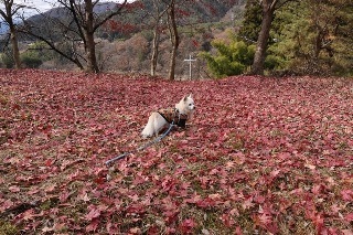 121202-k8.jpeg