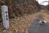 121202-k9.jpeg