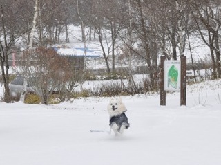 121209-k1.jpeg