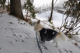 121209-k5.jpeg