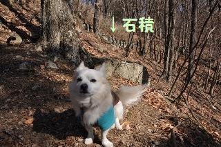 121216-k9.jpeg