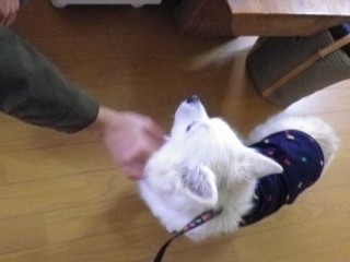 121218-2.jpg