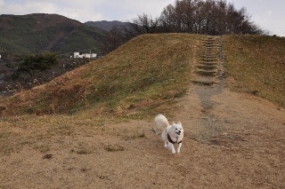 121223-k3.jpeg