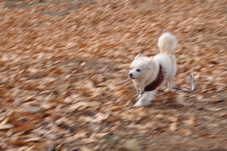 121223-k5.jpeg