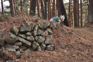 130106-k11.jpeg