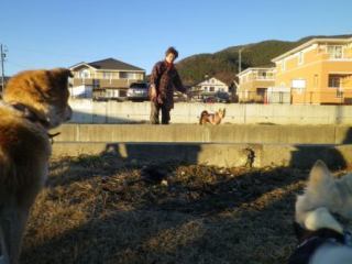 130111-3.jpg