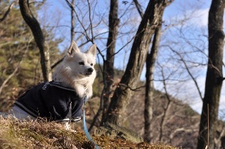 130112-k12.jpeg