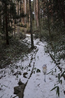 130113-k4.jpeg