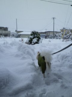 130114-2.jpg