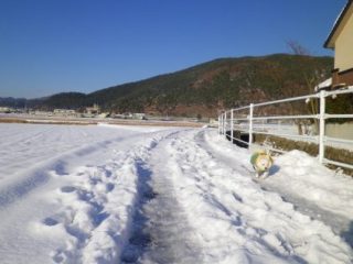 130119-2.jpg