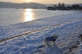 130120-k7.jpg