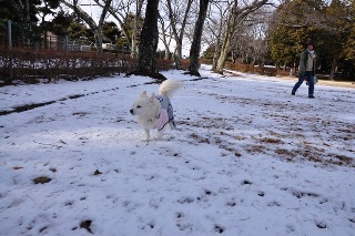 130209-k4.jpeg
